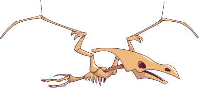 skeleton of a teradaktyl